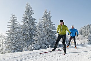 Active In The Black Forest