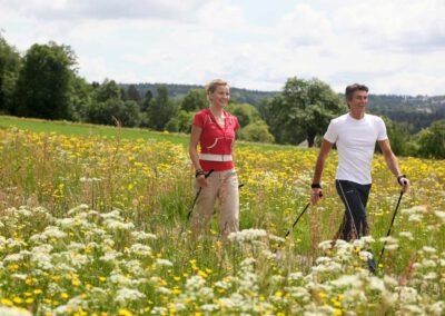 Schwarzwald Und Natur Pur