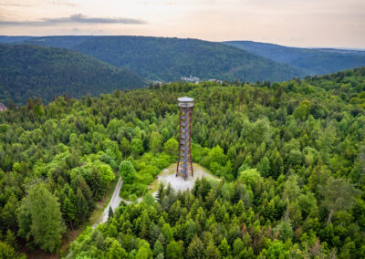 Schwarzwald Und Natur Pur