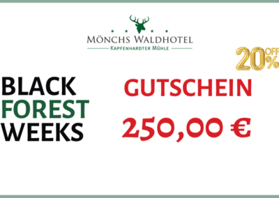 Wertgutschein 250,00 €